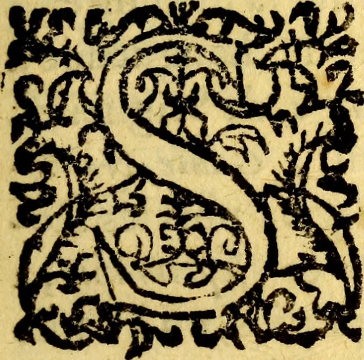 An illustration from Les antiquitez, raretez, plantes, mineraux, & autres choses considerables de la ville, & comté deCastres d'Albigeois : & des lieux qui sont à ses enuirons, auec l'histoire de ses comtes, euesq ues, &c. : et vn recueil des inscriptions romaines, & autres antiquitez du Languedoc, & Prouence : auec le roolle des principaux cabinets, & autres raretez de l'Europe : comme aussi le catalog des choses rares de Maistre Pierre Borel, Docteur en Medecine, 1649, leaf 24