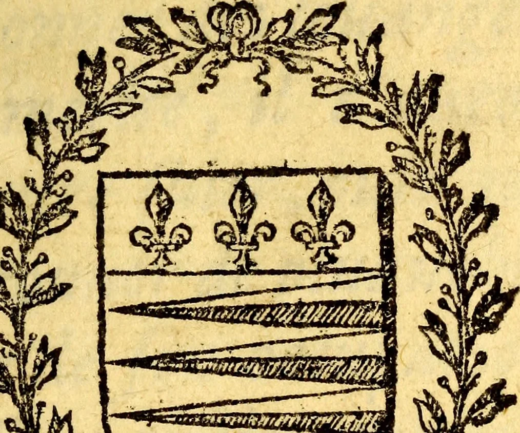 An illustration from Les antiquitez, raretez, plantes, mineraux, & autres choses considerables de la ville, & comté deCastres d'Albigeois : & des lieux qui sont à ses enuirons, auec l'histoire de ses comtes, euesq ues, &c. : et vn recueil des inscriptions romaines, & autres antiquitez du Languedoc, & Prouence : auec le roolle des principaux cabinets, & autres raretez de l'Europe : comme aussi le catalog des choses rares de Maistre Pierre Borel, Docteur en Medecine, 1649, leaf 8