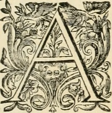 An illustration from Les armes triomphantes de Son Altesse, monseigneur, le duc d'Espernon : pour le suiet de son heureuse entrée faite dans la ville de Dijon, le huictième iour du mois de may, mil six cens cinquante six, 1656, leaf 14