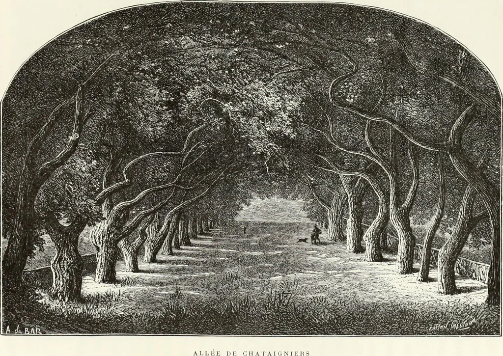 An illustration from Les Artistes français contemporains : peintres, sculpteurs, 1885, leaf 316