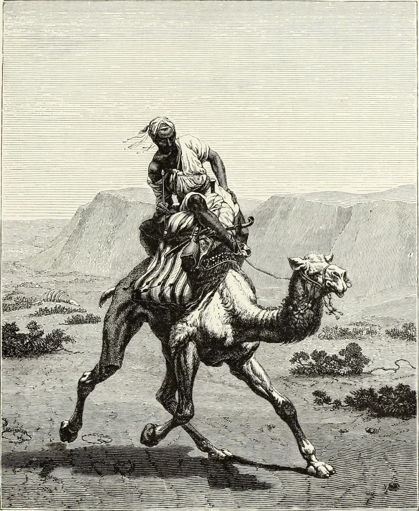 An illustration from Les Artistes français contemporains : peintres, sculpteurs, 1885, leaf 58