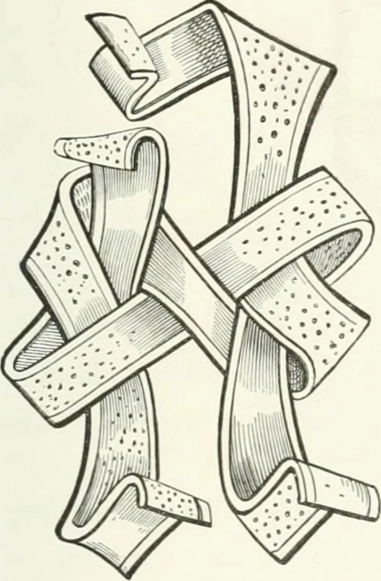 An illustration from Les arts au Moyen Âge et à l'époque de la Renaissance, 1869, leaf 152