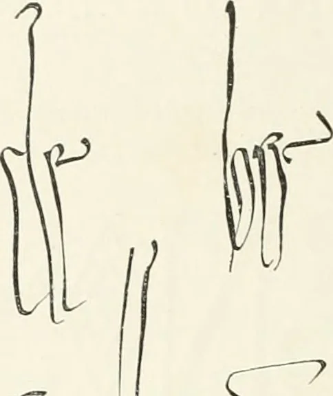 An illustration from Les arts au Moyen Âge et à l'époque de la Renaissance, 1869, leaf 499