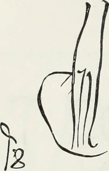 An illustration from Les arts au moyen âge et à l'époque de la renaissance, 1871, leaf 467
