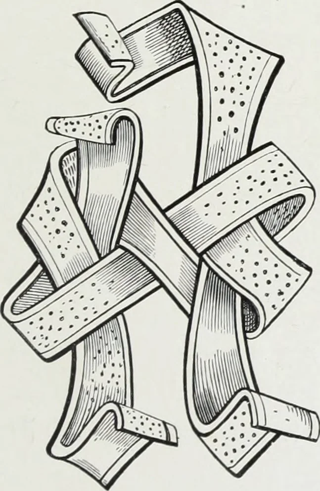 An illustration from Les arts au moyen âge et à l'époque de la renaissance, 1871, leaf 508