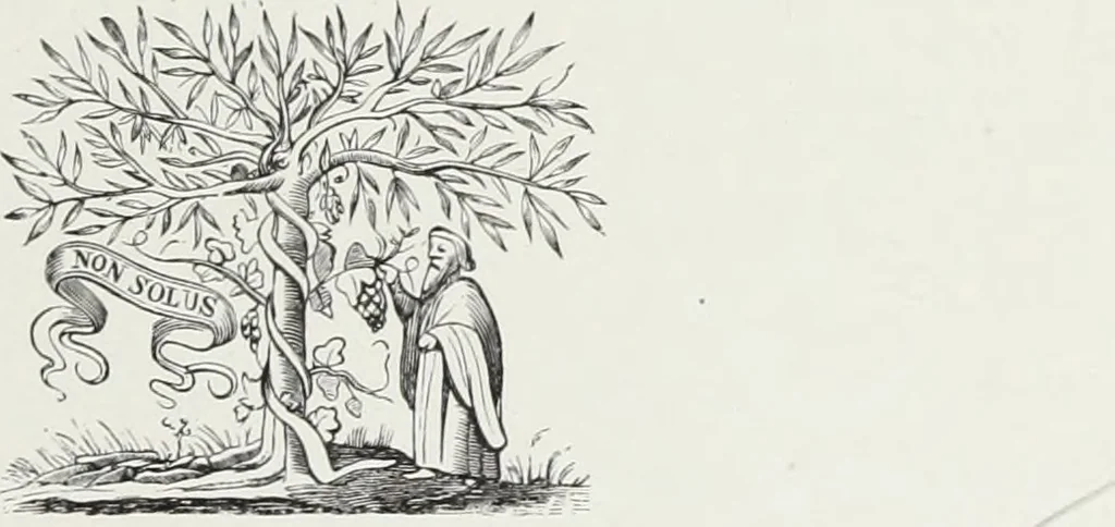 An illustration from Les arts au moyen âge et à l'époque de la renaissance, 1871, leaf 562