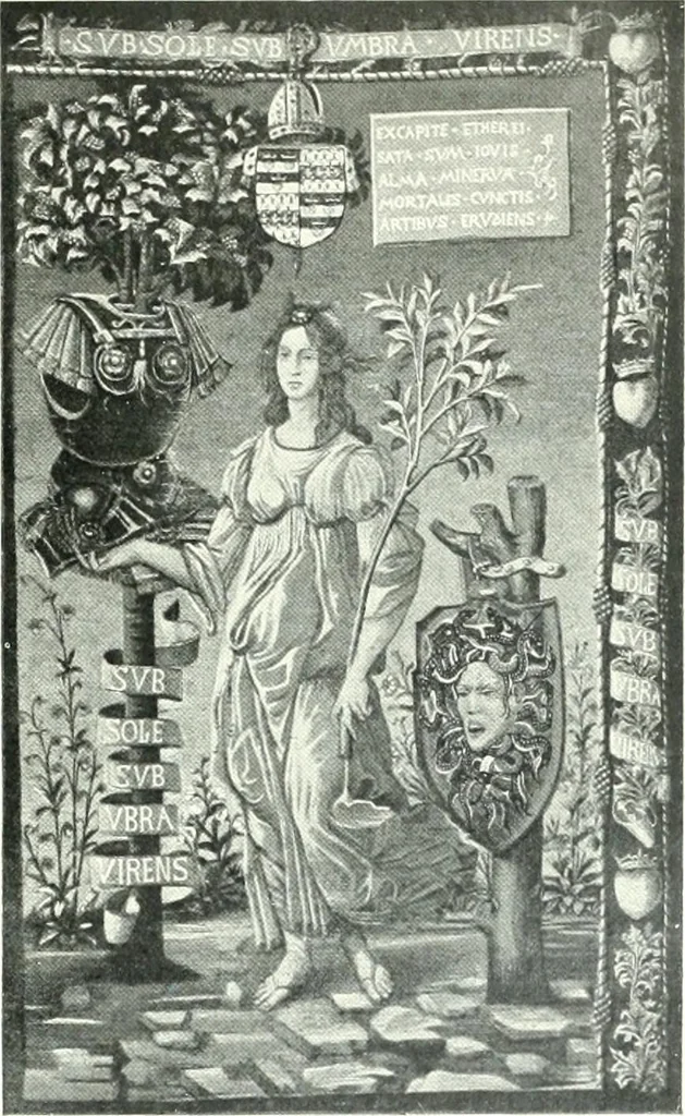 An illustration from Les arts du tissu, 1909, leaf 262