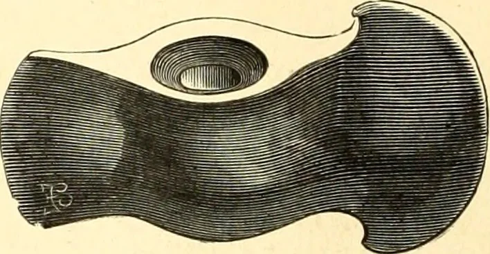 An illustration from Les arts et métiers au Moyen Age : étude illustrée d'après les ouvrages de Paul Lacroix sur le Moyen Age et la Renaissance, 1887, leaf 9