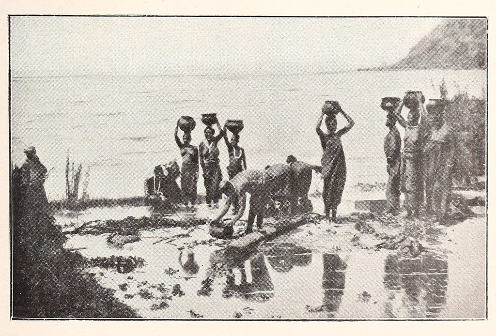 An illustration from Les Baluba (Congo Belge), 1913, leaf 579
