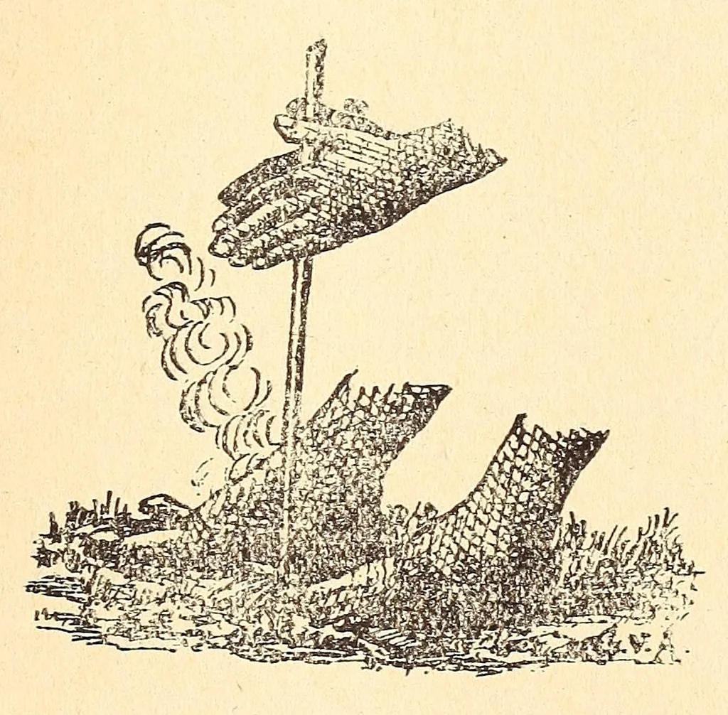 An illustration from Les Baluba (Congo Belge), 1913, leaf 189