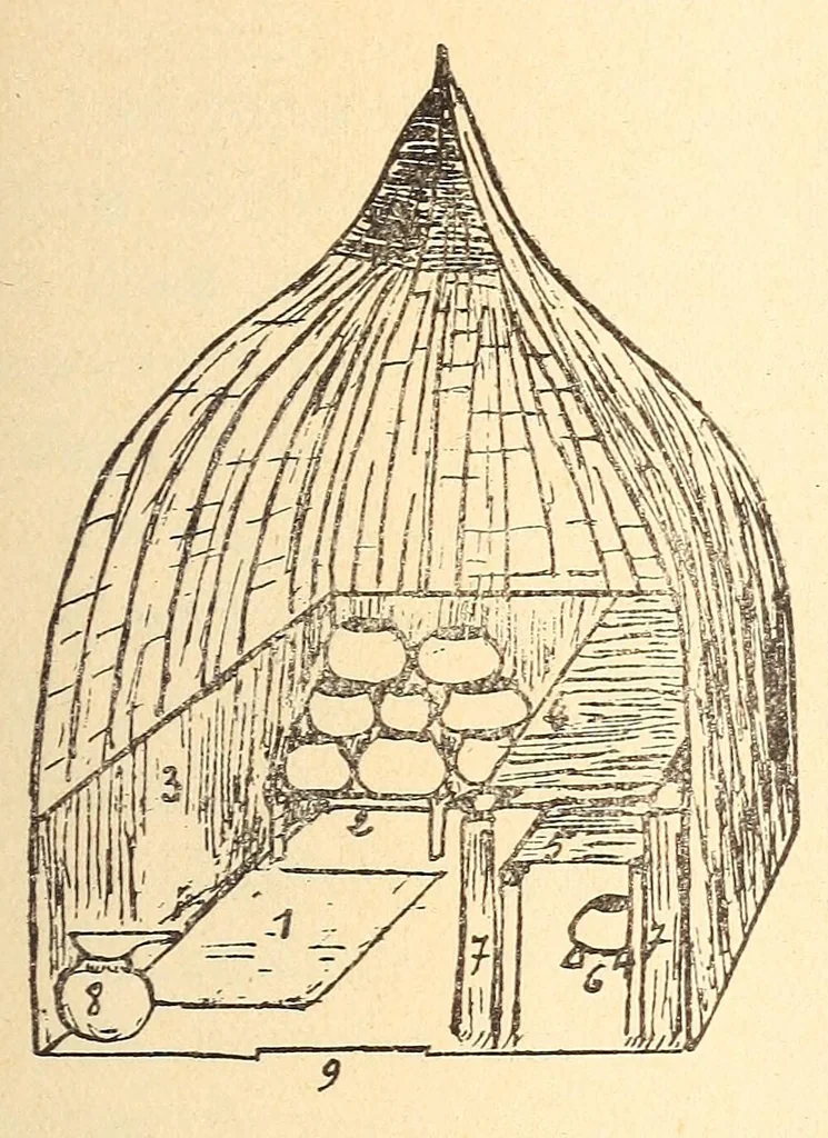 An illustration from Les Baluba (Congo Belge), 1913, leaf 251