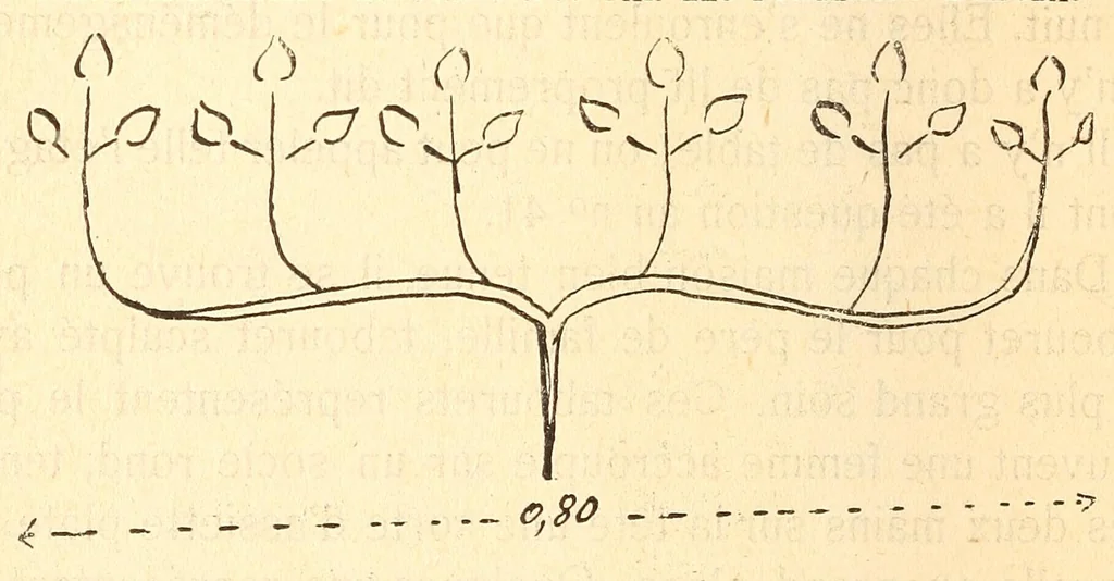 An illustration from Les Baluba (Congo Belge), 1913, leaf 256