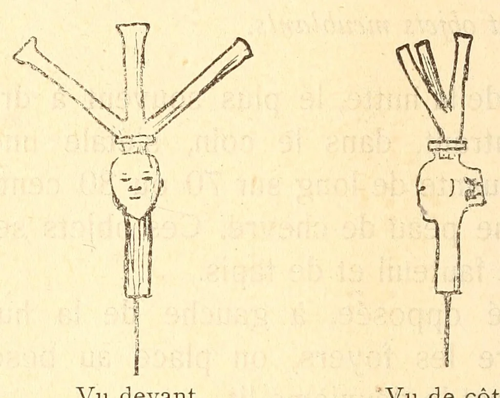 An illustration from Les Baluba (Congo Belge), 1913, leaf 256