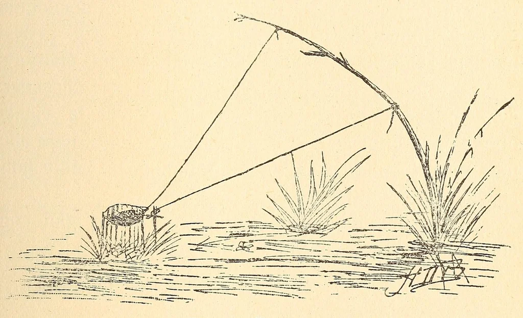 An illustration from Les Baluba (Congo Belge), 1913, leaf 285