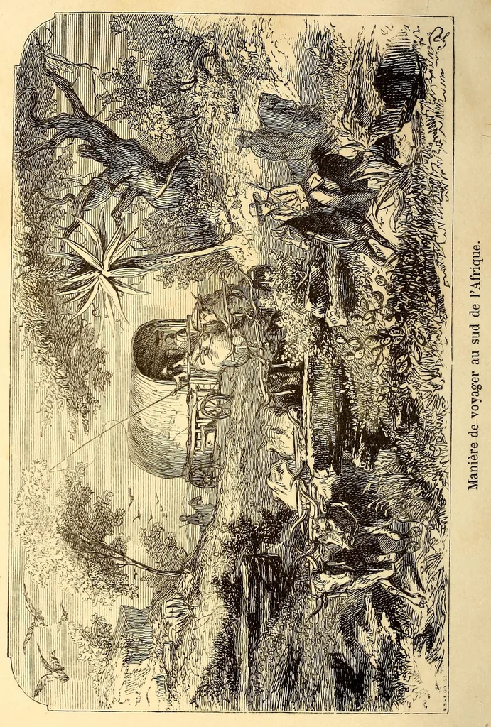 An illustration from Les Bassoutos; ou, Vingt-trois années de séjour et d'observations au sud de l'Afrique, 1859, leaf 10