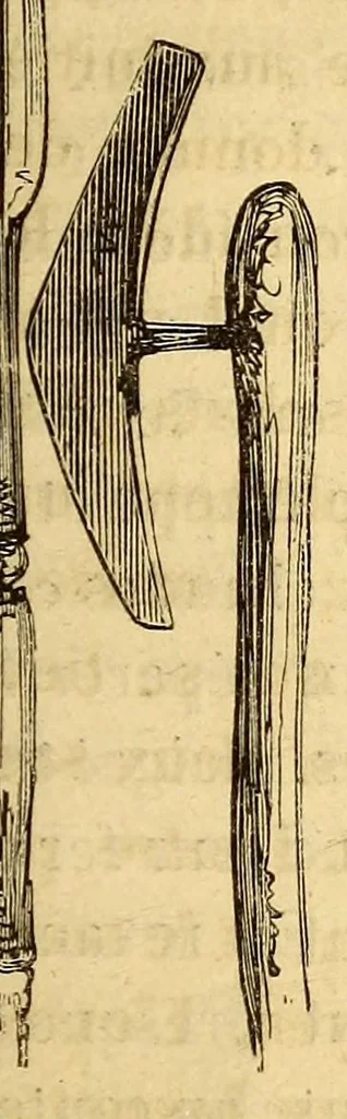 An illustration from Les Bassoutos; ou, Vingt-trois années de séjour et d'observations au sud de l'Afrique, 1859, leaf 177