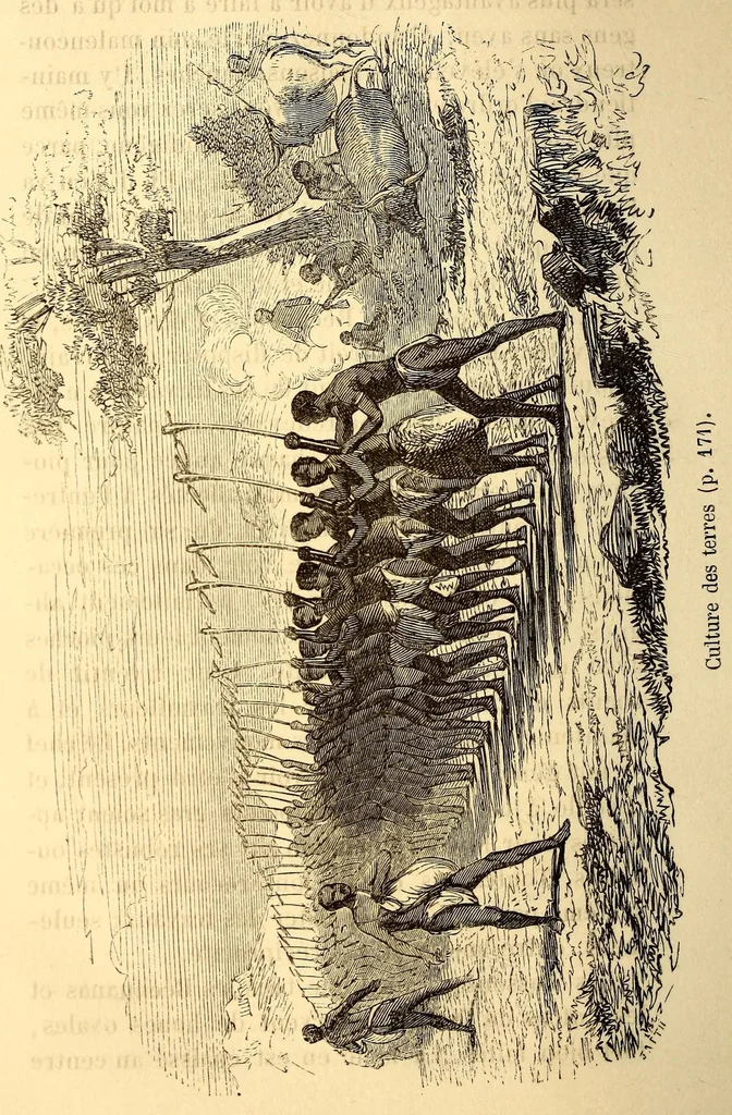 An illustration from Les Bassoutos; ou, Vingt-trois années de séjour et d'observations au sud de l'Afrique, 1859, leaf 212