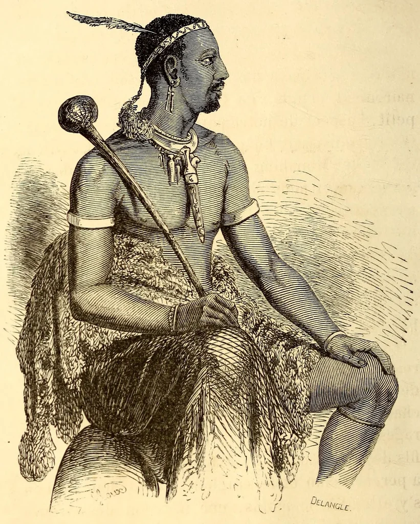 An illustration from Les Bassoutos; ou, Vingt-trois années de séjour et d'observations au sud de l'Afrique, 1859, leaf 46