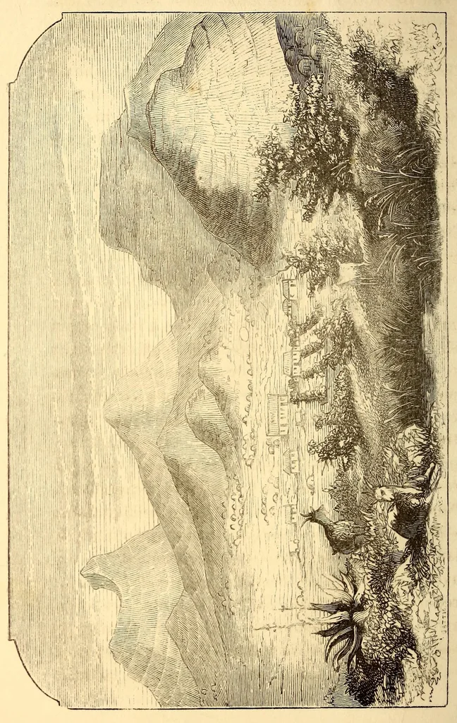An illustration from Les Bassoutos; ou, Vingt-trois années de séjour et d'observations au sud de l'Afrique, 1859, leaf 72