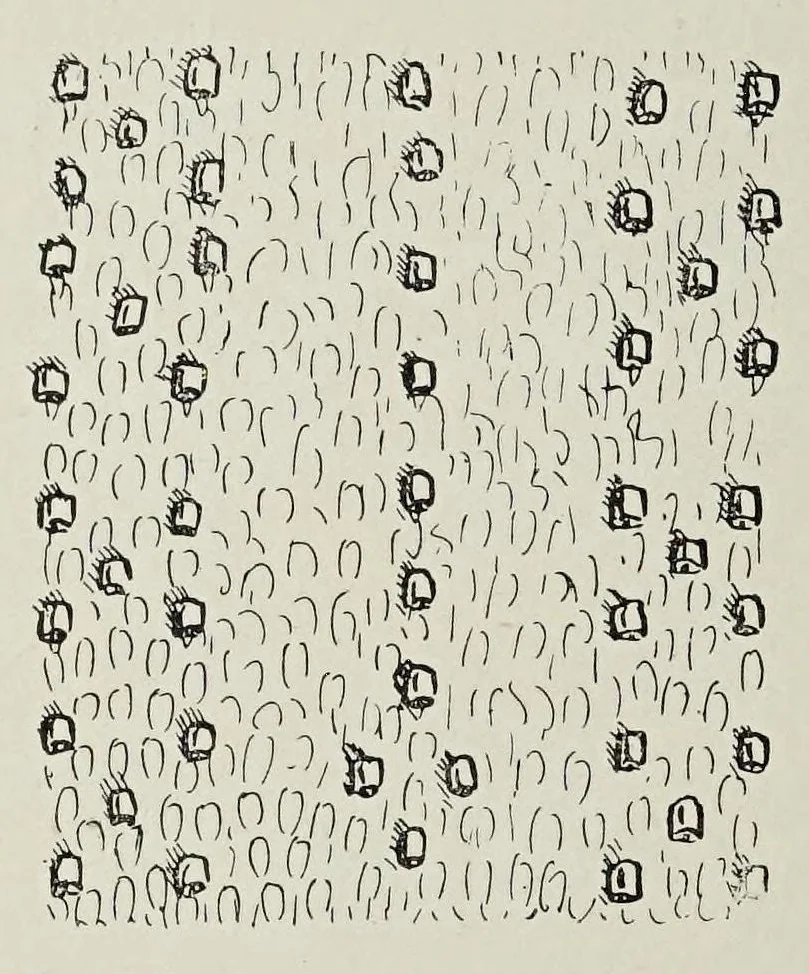 An illustration from Les broderies et les dentelles (cours en quarante leçonś), 1905, leaf 50