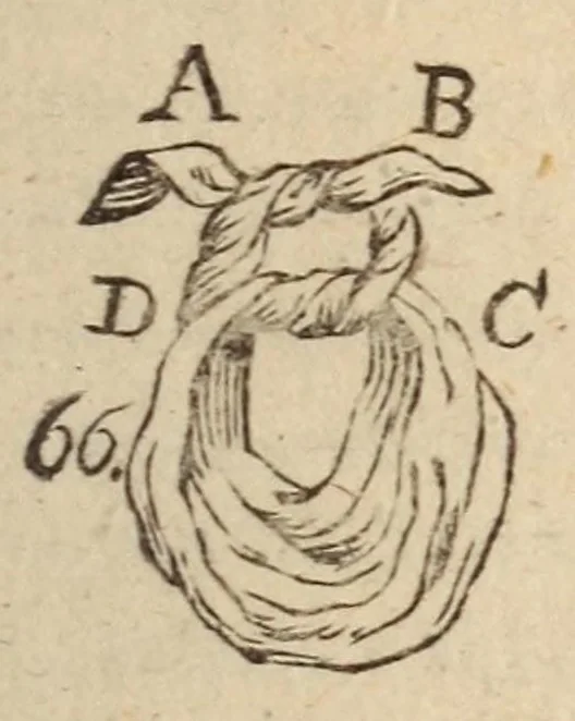 An illustration from L'escamoteur habile;, 1816, leaf 151