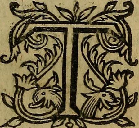 An illustration from Les causes de la veille et du sommeil, des songes & de la vie & de la mort, 1631, leaf 36