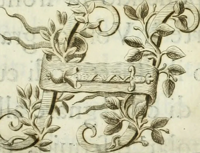 An illustration from Le scelte pitture di Brescia additate al forestiere, 1700, leaf 10