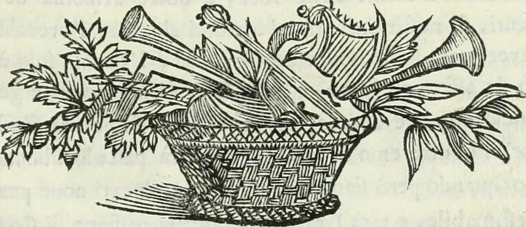 An illustration from Le scelte pitture di Brescia additate al forestiere, 1700, leaf 108