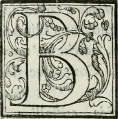 An illustration from Le scelte pitture di Brescia additate al forestiere, 1700, leaf 109