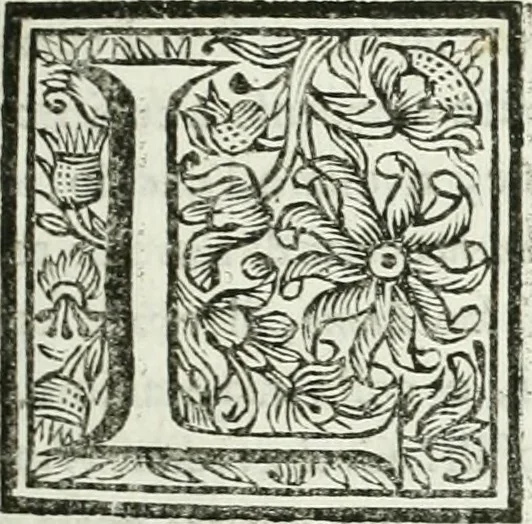 An illustration from Le scelte pitture di Brescia additate al forestiere, 1700, leaf 142
