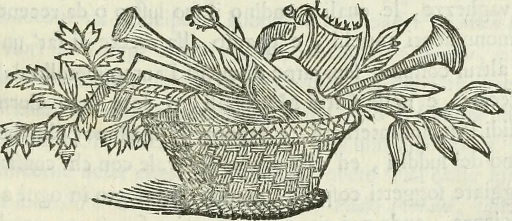 An illustration from Le scelte pitture di Brescia additate al forestiere, 1700, leaf 222