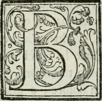 An illustration from Le scelte pitture di Brescia additate al forestiere, 1700, leaf 223