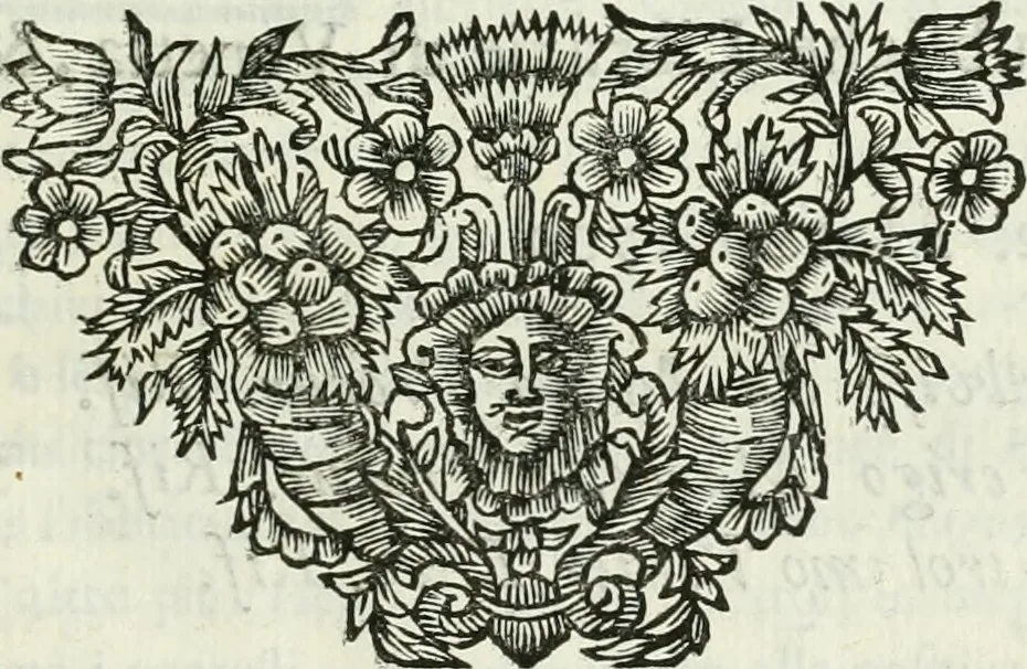 An illustration from Le scelte pitture di Brescia additate al forestiere, 1700, leaf 26