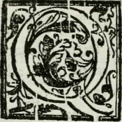 An illustration from Le scelte pitture di Brescia additate al forestiere, 1700, leaf 267