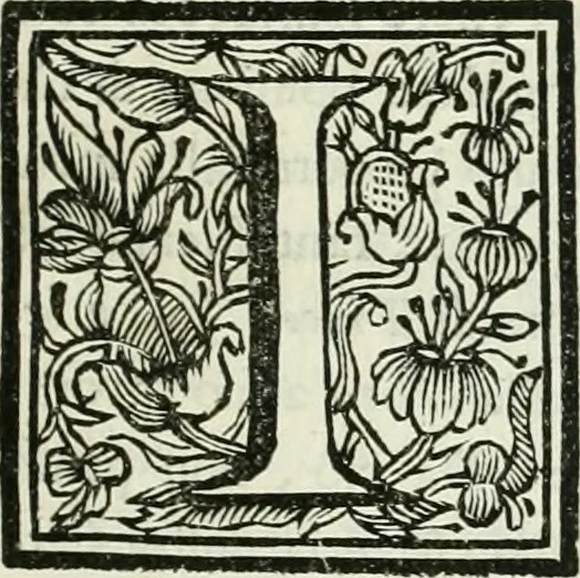 An illustration from Le scelte pitture di Brescia additate al forestiere, 1700, leaf 28