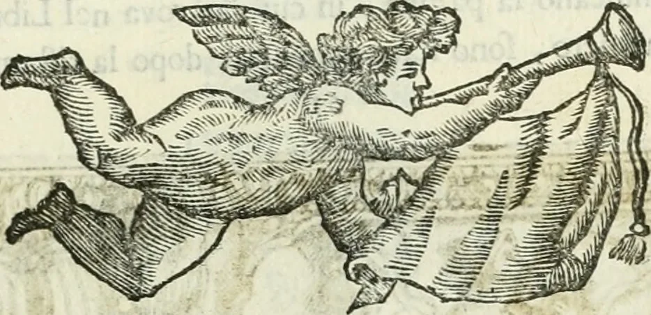 An illustration from Le scelte pitture di Brescia additate al forestiere, 1700, leaf 304