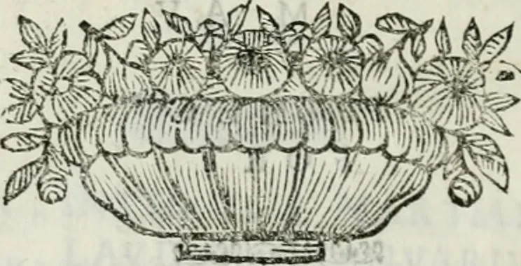 An illustration from Le scelte pitture di Brescia additate al forestiere, 1700, leaf 319