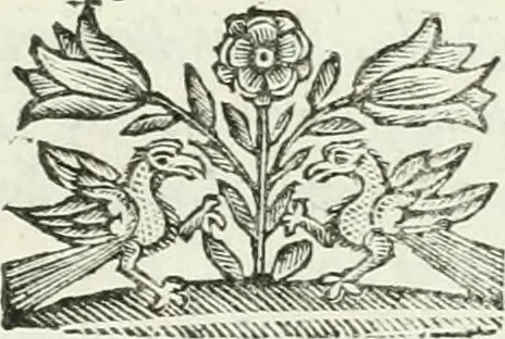 An illustration from Le scelte pitture di Brescia additate al forestiere, 1700, leaf 38