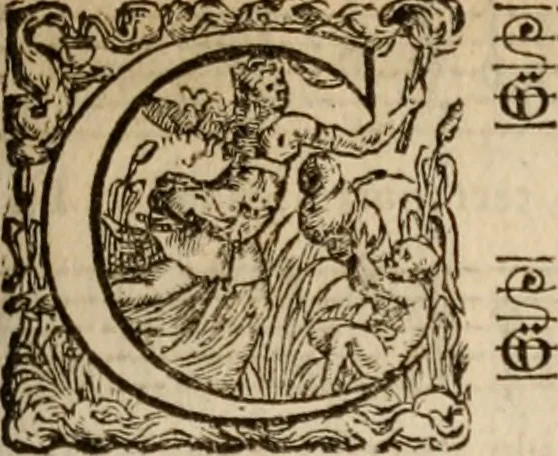 An illustration from Les cent cinquante Psaumes de David:, 1613, leaf 108