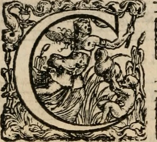 An illustration from Les cent cinquante Psaumes de David:, 1613, leaf 161