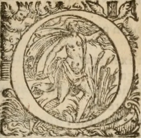 An illustration from Les cent cinquante Psaumes de David:, 1613, leaf 164