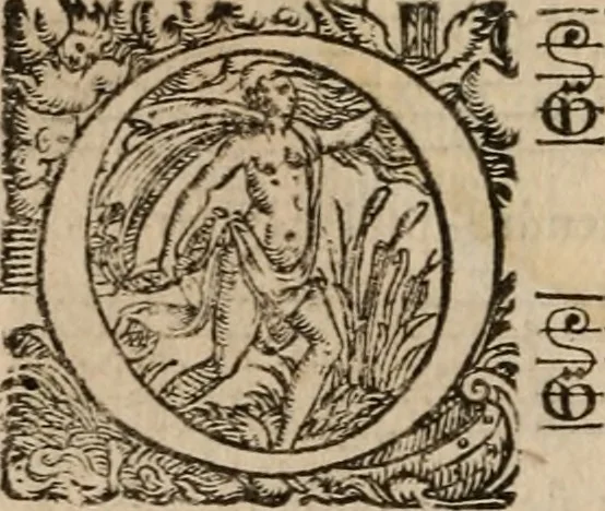 An illustration from Les cent cinquante Psaumes de David:, 1613, leaf 53