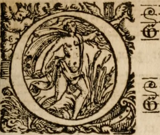 An illustration from Les cent cinquante Psaumes de David:, 1613, leaf 96