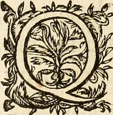 An illustration from Les characteres des passions, 1640, leaf 148