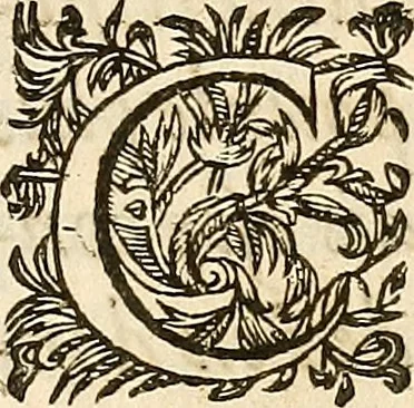 An illustration from Les characteres des passions, 1640, leaf 16