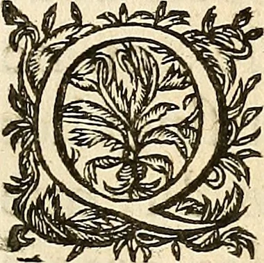 An illustration from Les characteres des passions, 1640, leaf 178