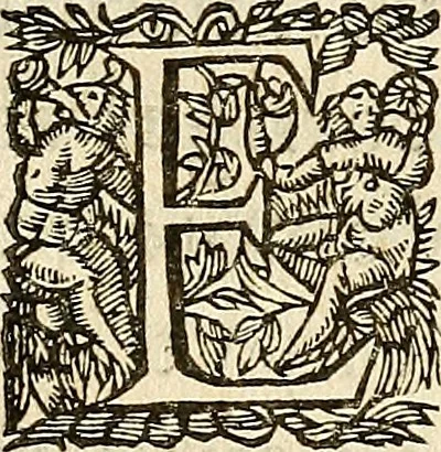 An illustration from Les characteres des passions, 1640, leaf 213