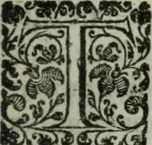 An illustration from Les Chartes nouvelles du pays et comté de Haynnau .., 1666, leaf 110