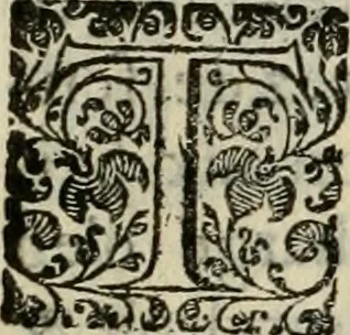 An illustration from Les Chartes nouvelles du pays et comté de Haynnau .., 1666, leaf 129