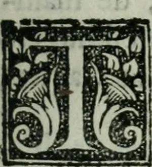 An illustration from Les Chartes nouvelles du pays et comté de Haynnau .., 1666, leaf 136